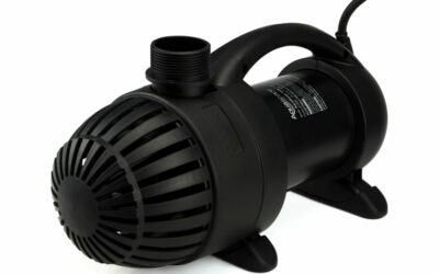 Where do I get pond supplies?