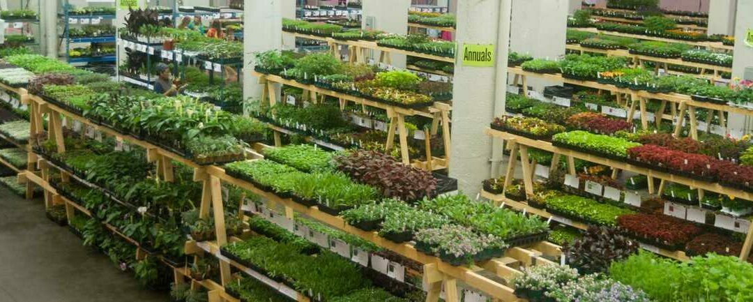 Minnesota Friends School Plant Sale – Update