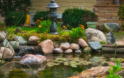 Pond Care & Fish Pond Care in Northern Climates