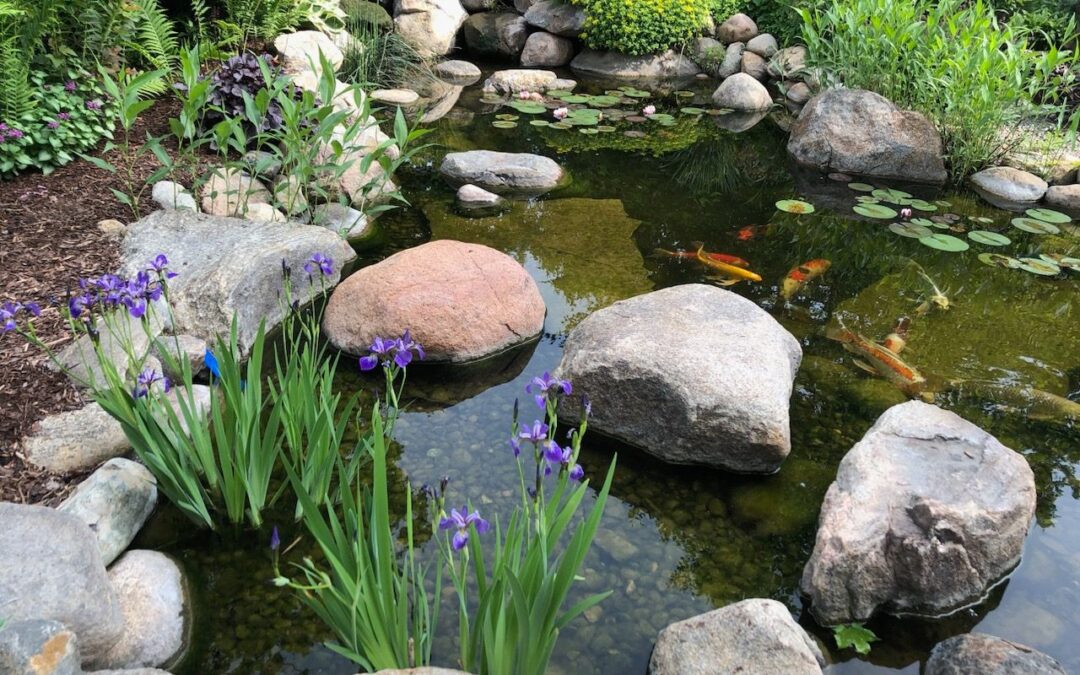 Leaking Pond Twin Cities, Minneapolis, St Paul Minnesota MN