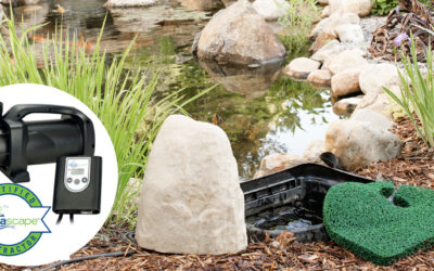 Pond Pumps: New vs. Repair