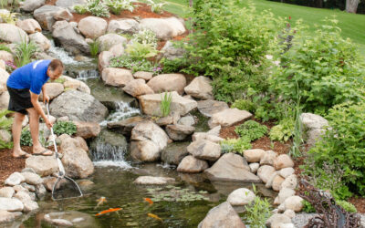 Fish care. I think My babies are hungry, but what do I need to do?