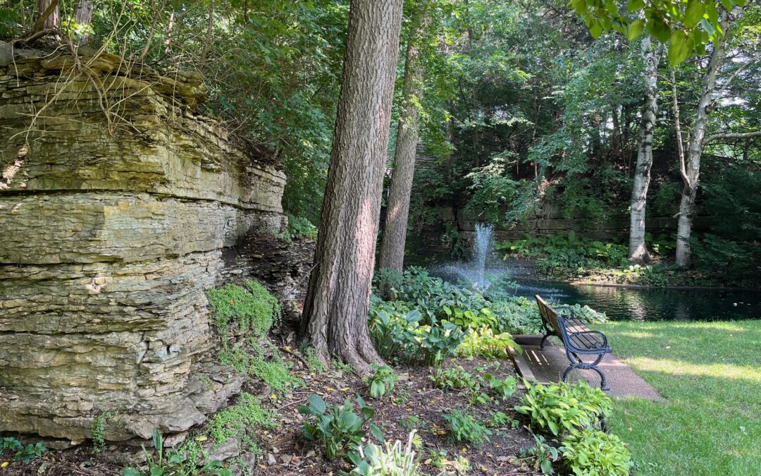 Historic Water Garden mini-tour
