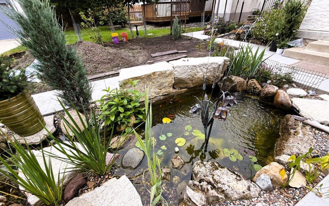 Designer Backyard Pond — Minneapolis, Minnesota