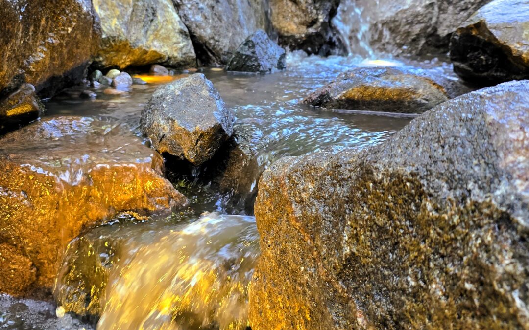 Waterfall in Eden Prairie, MN