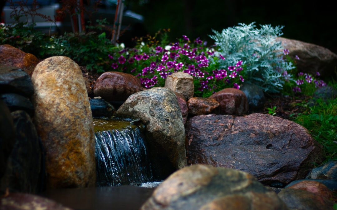 Small Waterfall Near Driveway