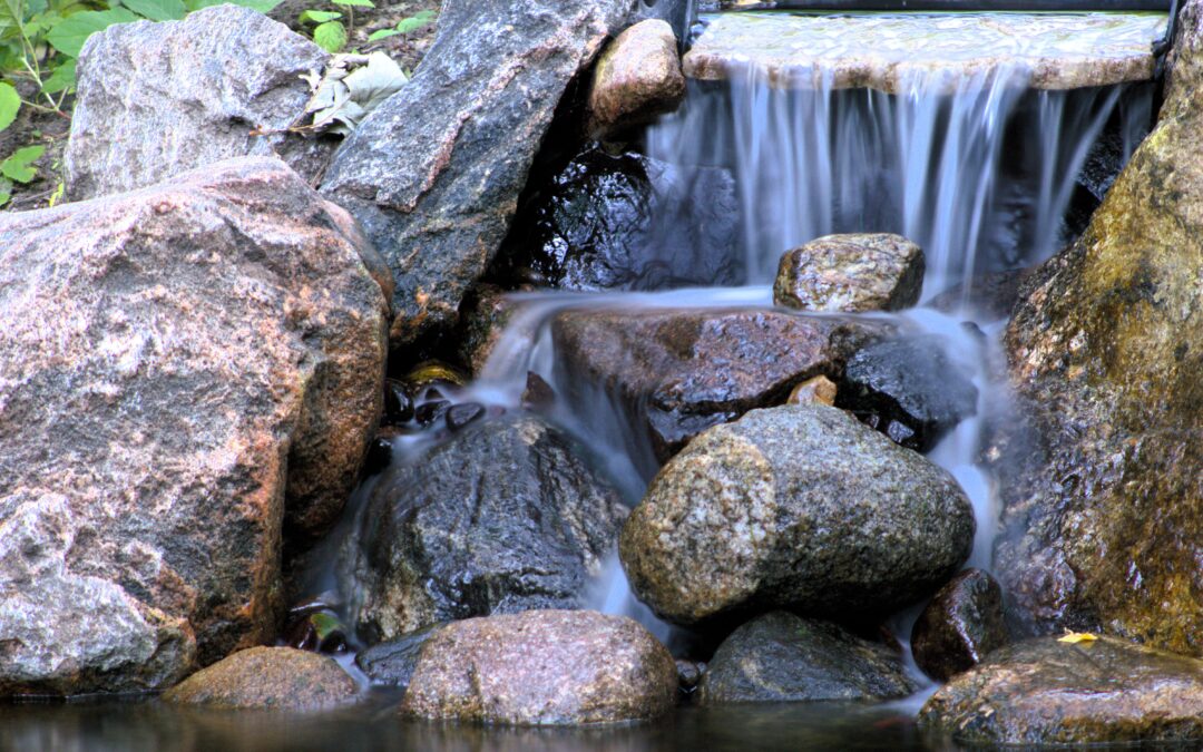 Woodland Pond Reconstruction with Waterfall — Chaska, Minnesota