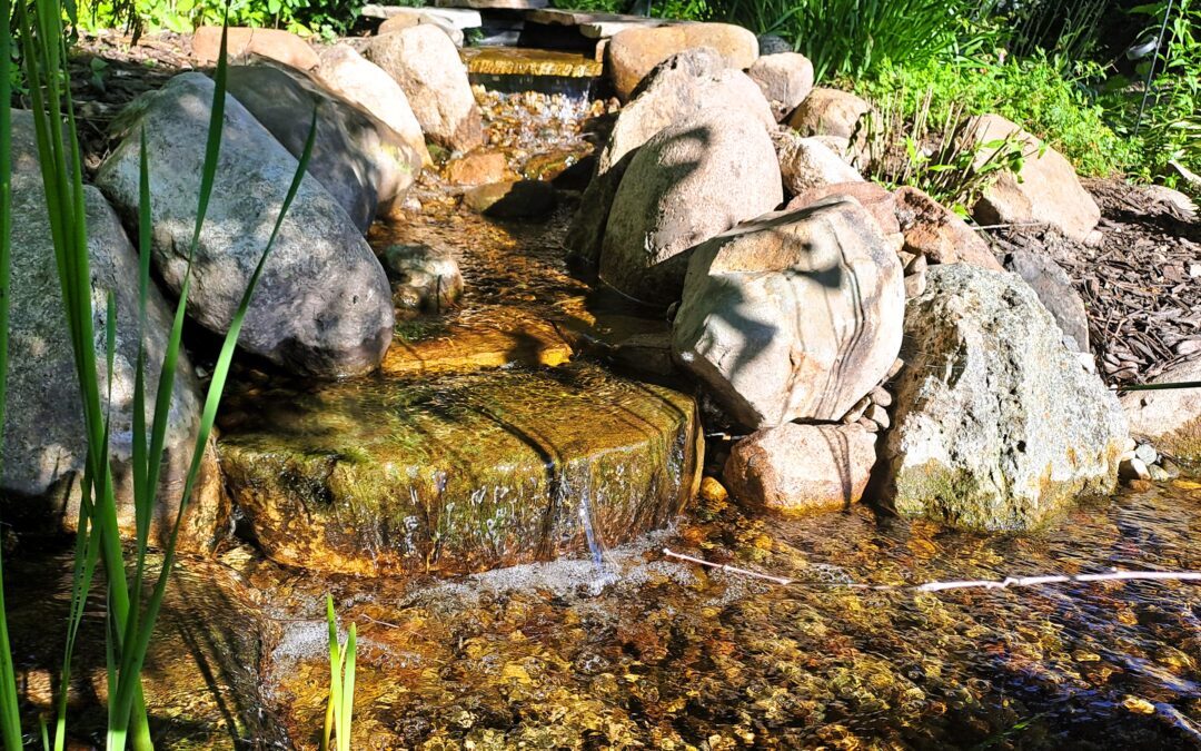 Backyard Stream Repair in Rogers, MN