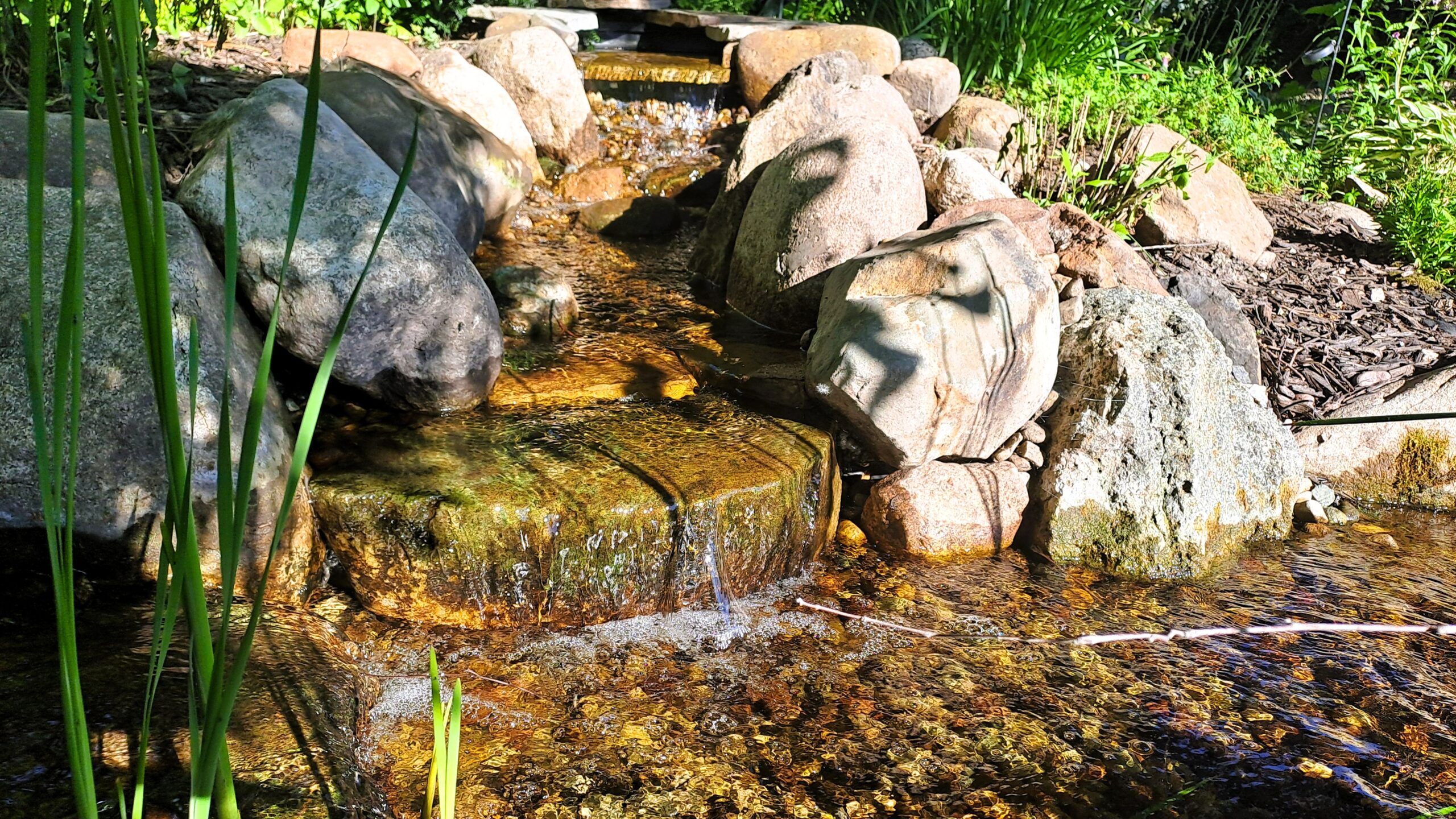 20240812_085359 Rebuilt backyard stream in Rogers, Minnesota featuring natural stone cascades, flowing water, and a repaired BioFalls.