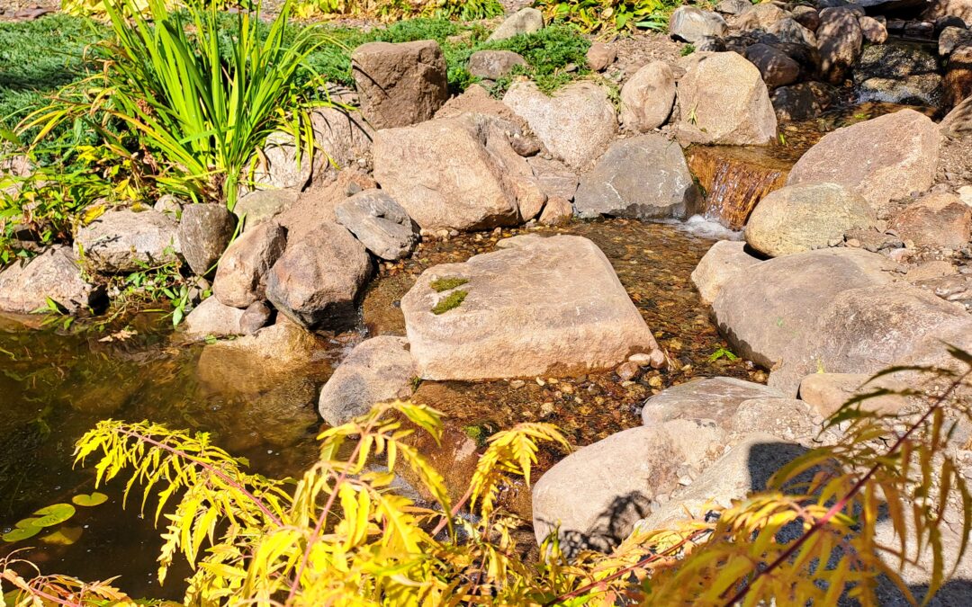 Leaking Pond Stream Repair & Waterfall Reconstruction in St. Michael, MN