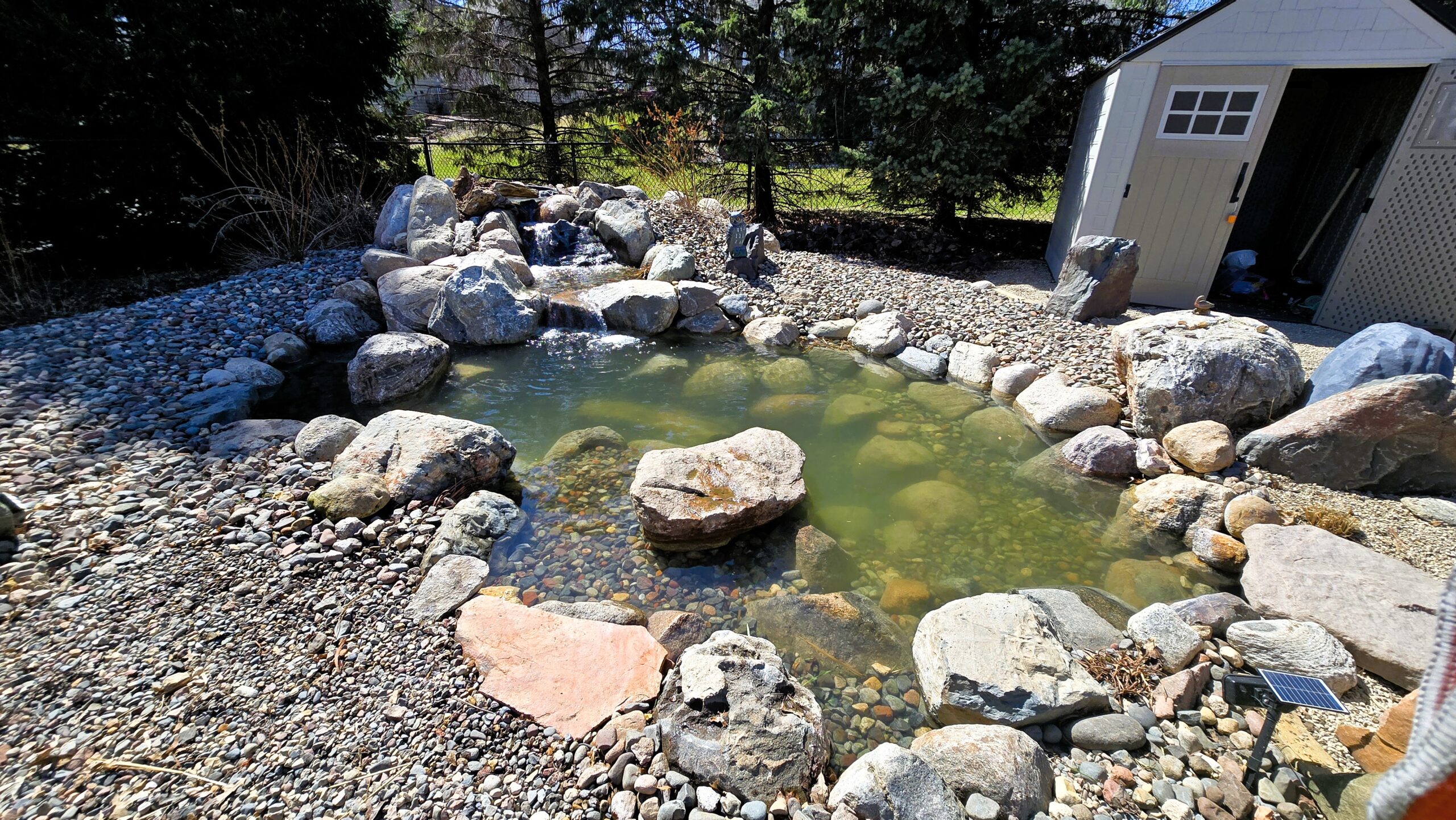 20250407_141732 Backyard fish pond with island and natural waterfall in Northfield, Minnesota.