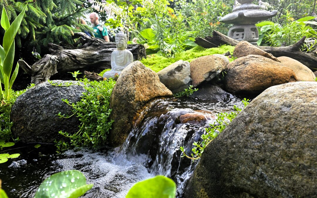 Do I have a Leak in my Pond?