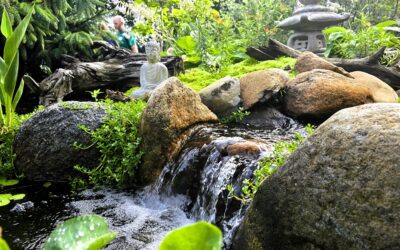 Do I have a Leak in my Pond?