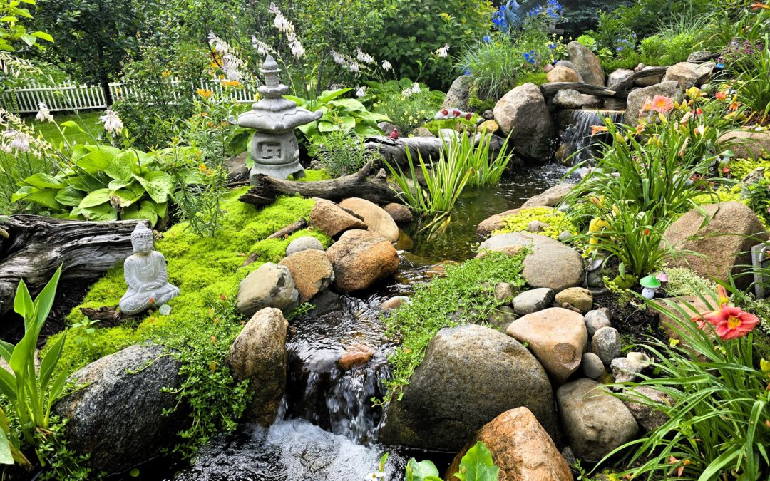Wetland Filter Installation for an Existing Pond in Rockford, MN