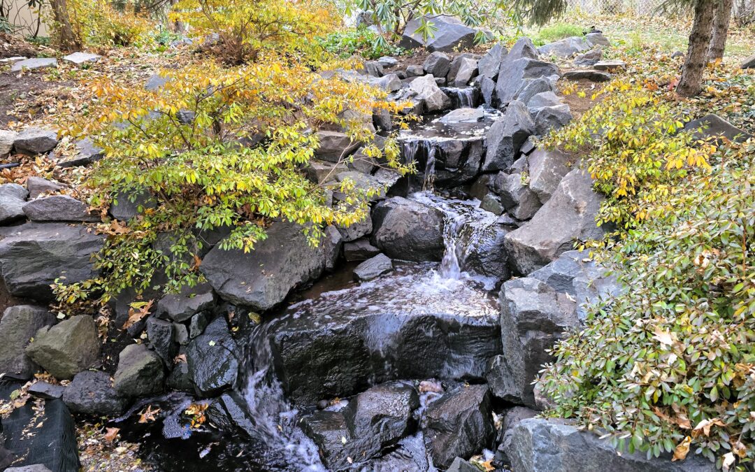 Backyard Stream Reconstruction and Waterfall Repair in Arden Hills, MN