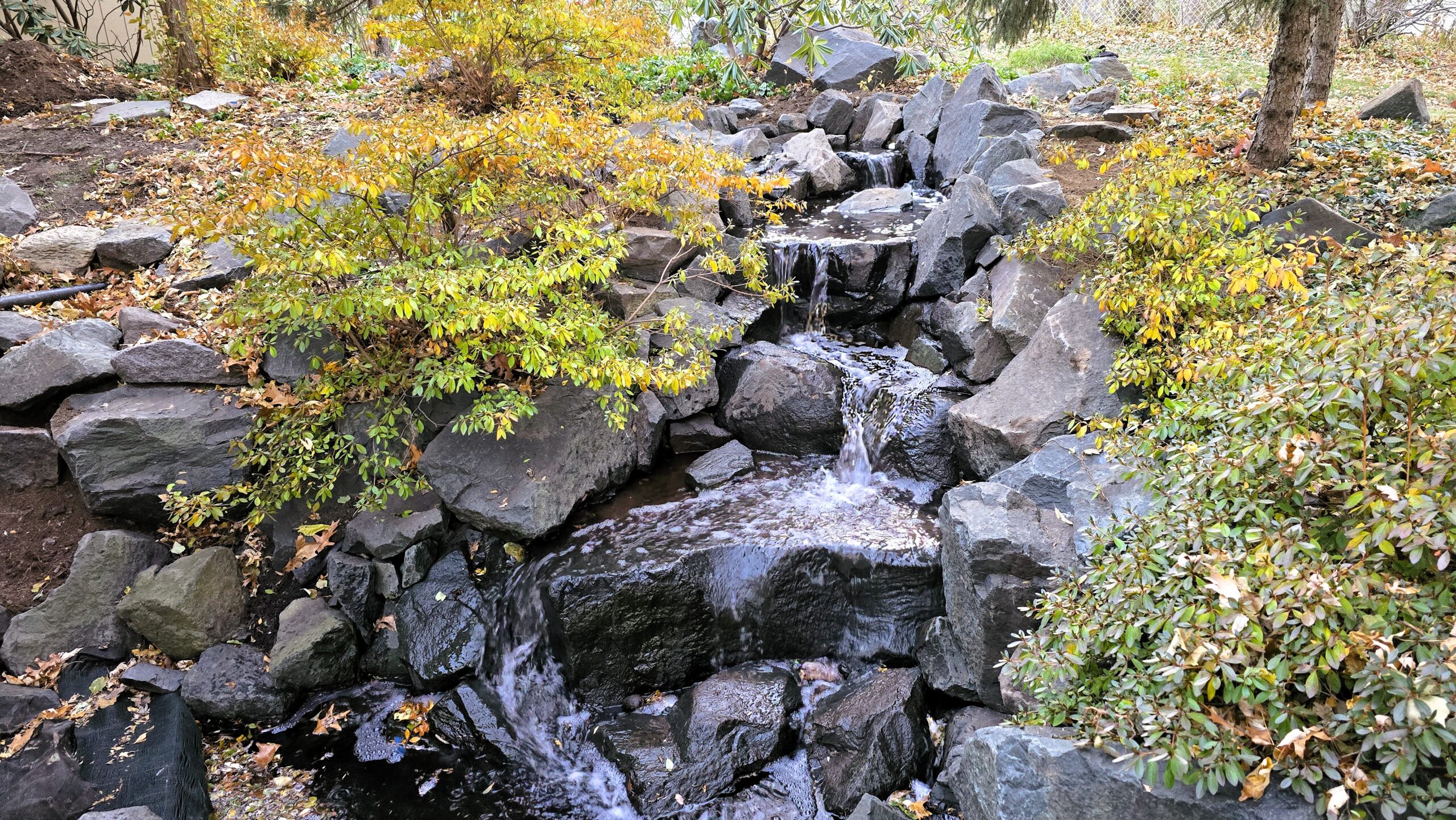 20251113_163801 Rebuilt backyard trap rock waterfall with multiple cascades after a 14-foot stream reconstruction in Arden Hills, Minnesota.