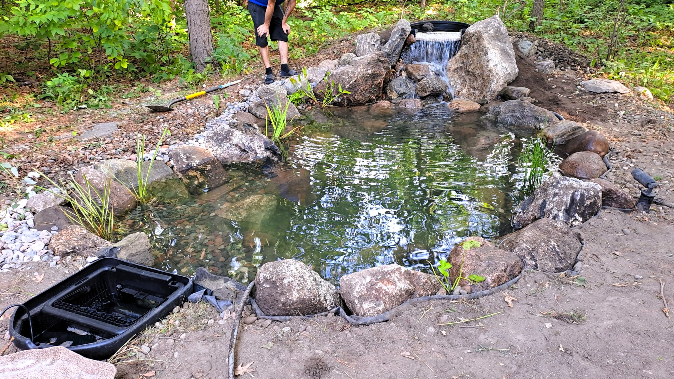 Final pond stage with aquatic plants, gravel, and natural stone around waterfall