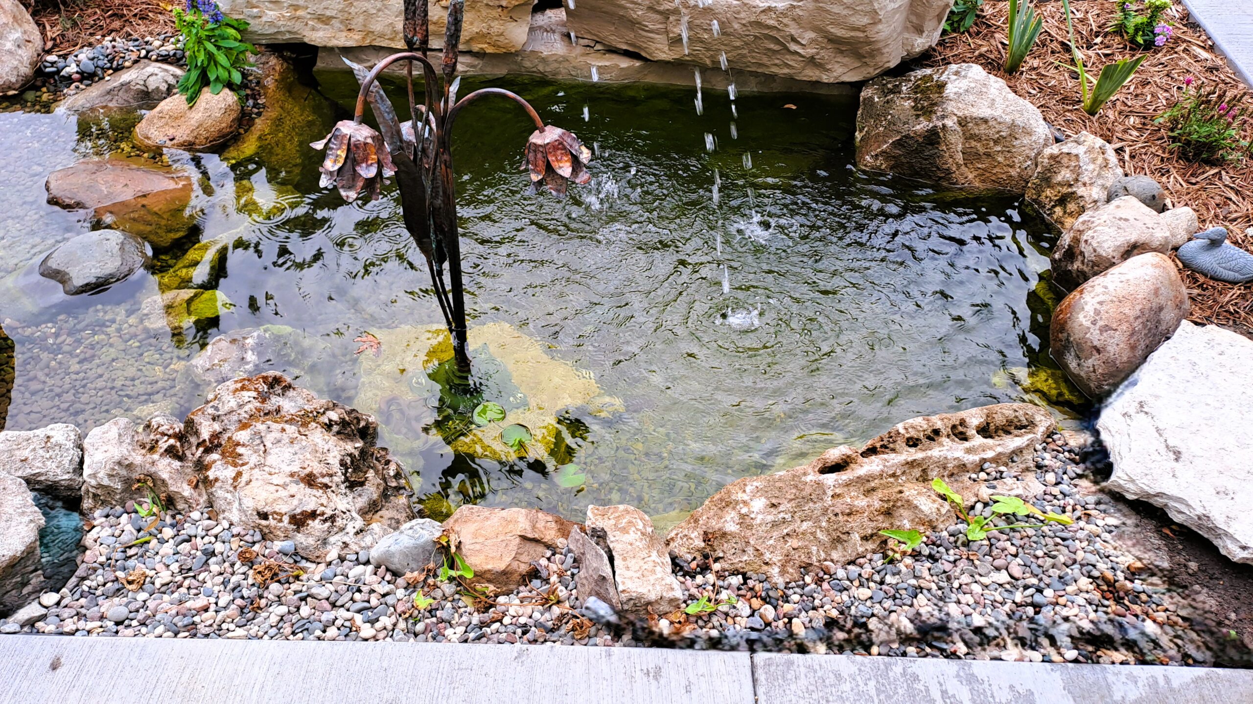 Backyard pond in Minneapolis with limestone stone edging, aquatic plants, and decorative fountain feature