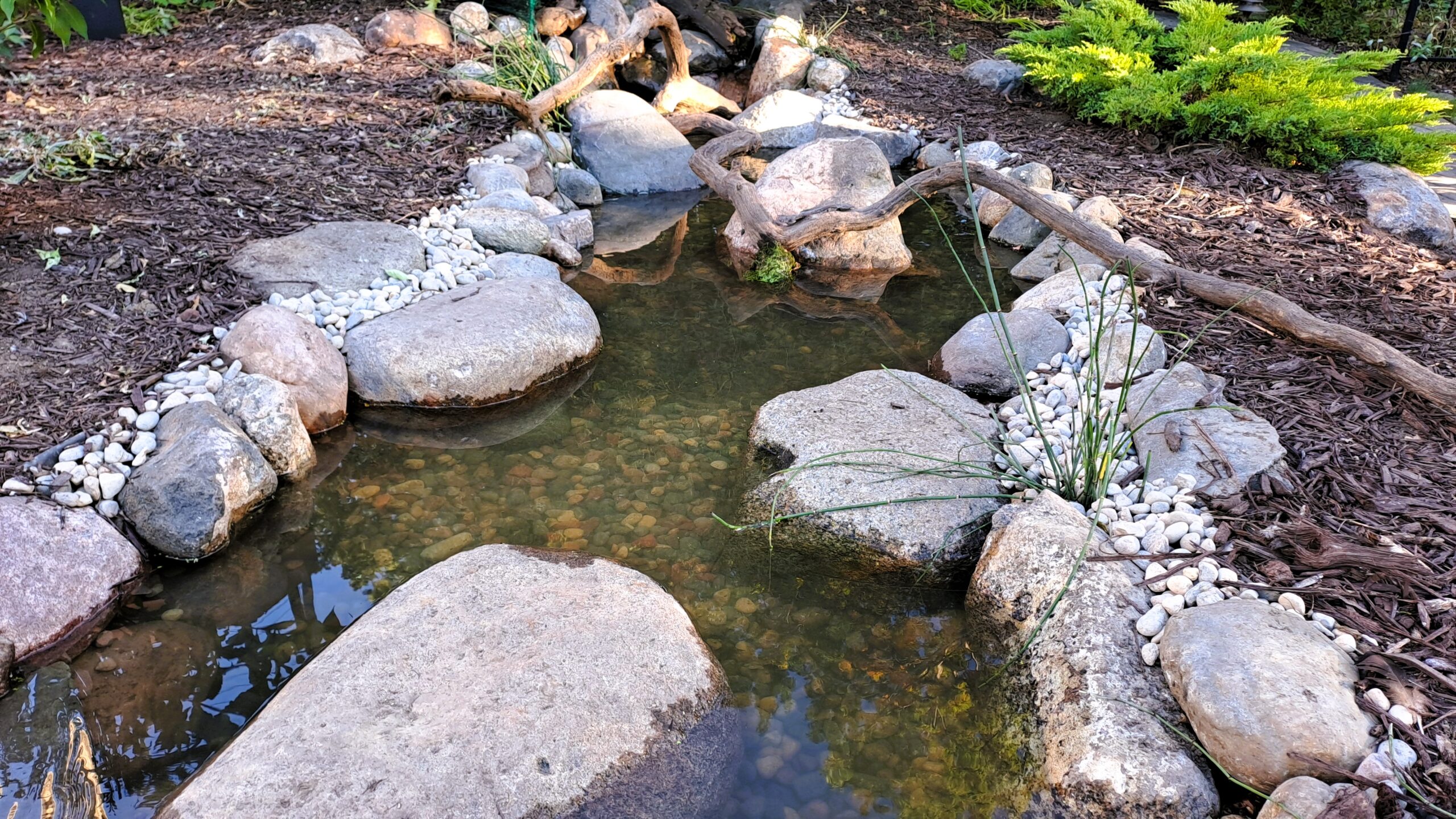 natural stone stream reconstruction with driftwood accents and improved water flow in backyard pond