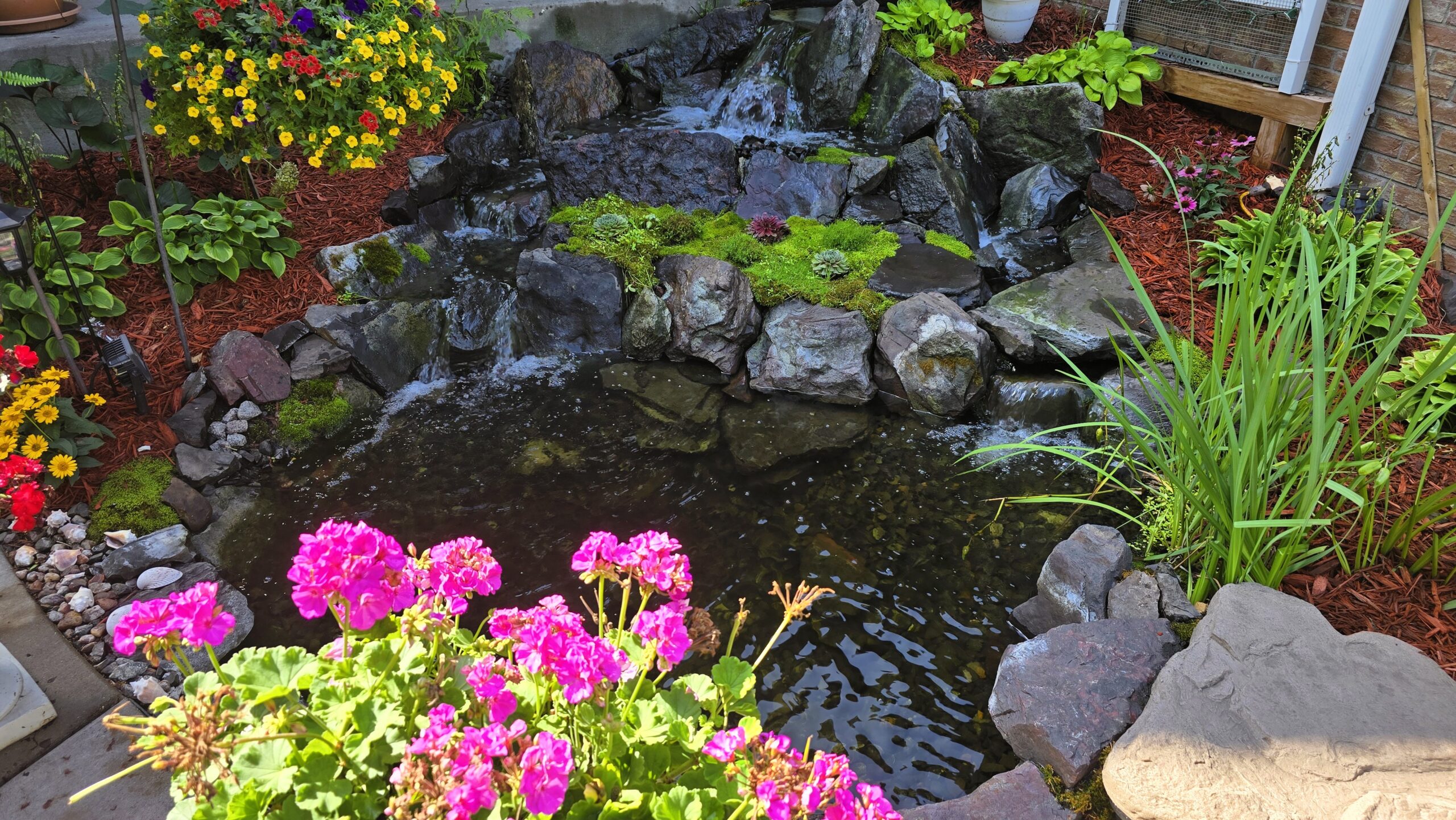 Front yard waterfall and pond with Banded Jasper boulders in Blaine, Minnesota surrounded by colorful plants and natural landscaping