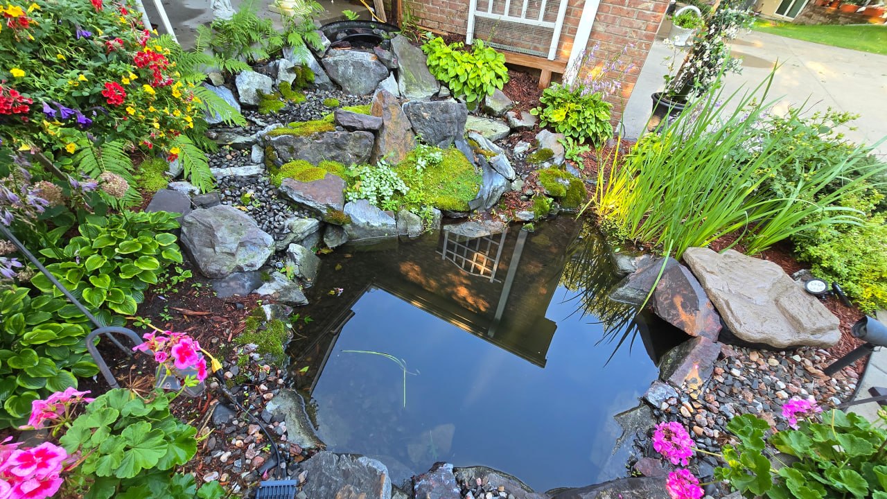 Front yard waterfall and pond with Banded Jasper boulders in Blaine, Minnesota surrounded by colorful plants and natural landscaping
