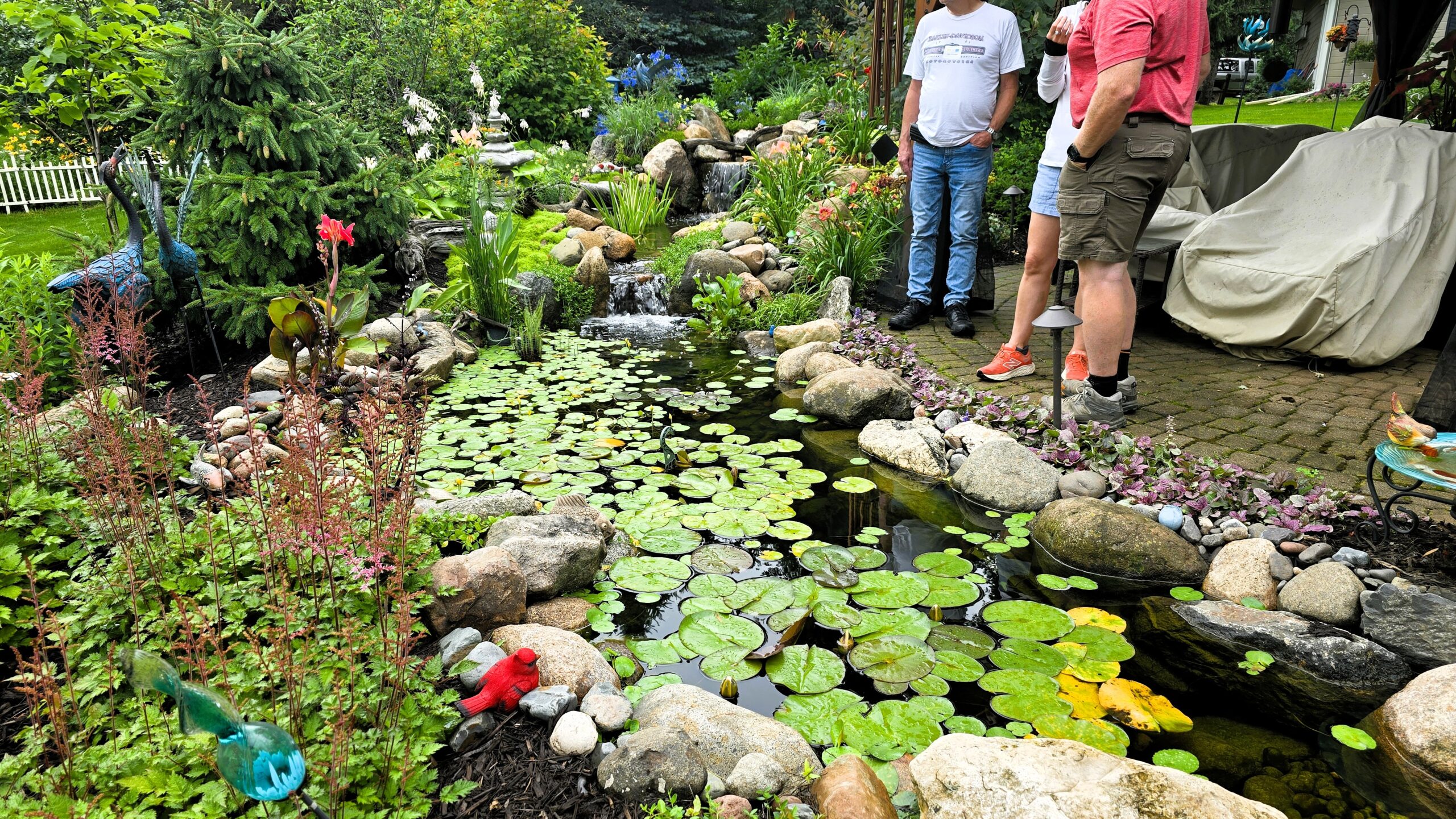 Existing pond upgraded with a natural wetland filter and stream in Rockford, Minnesota