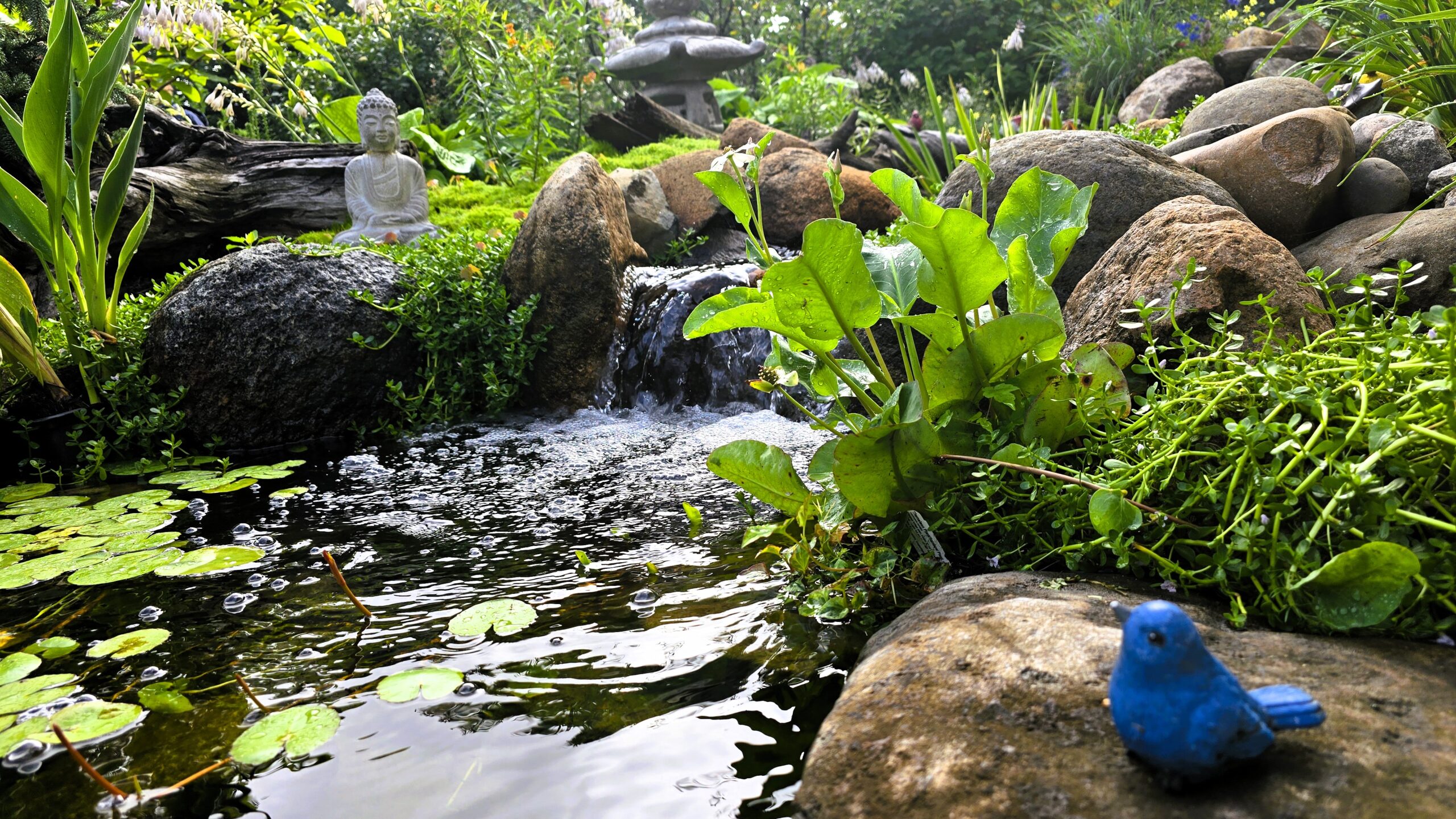 Wetland filter stream flowing into an existing pond with aquatic plants and natural stone