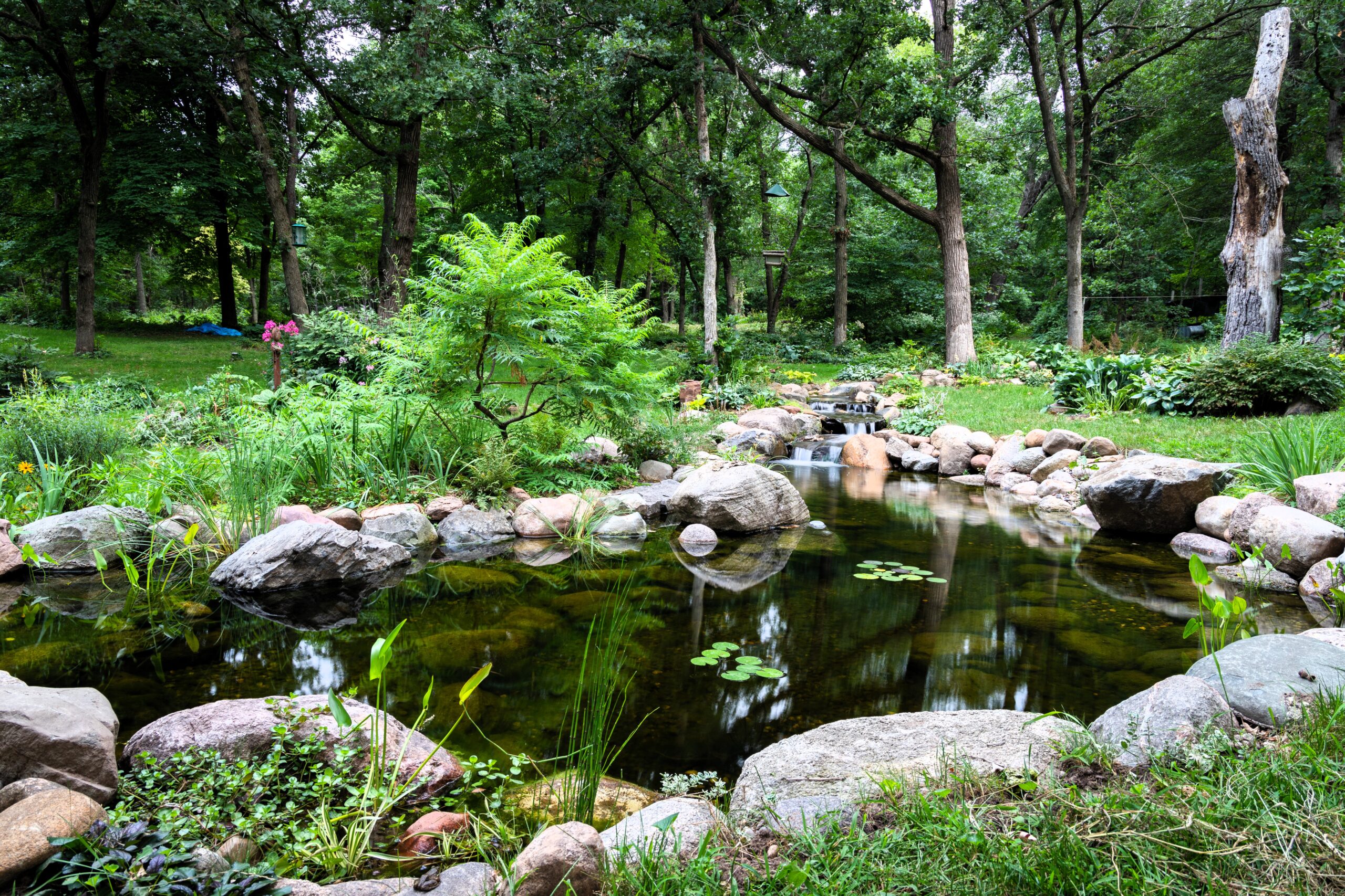 Wide view of a natural backyard pond and stream in Roberts, Wisconsin featuring crystal-clear water, cascading waterfalls, native landscaping, and woodland surroundings.
